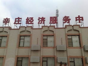 天津企業(yè)注冊(cè)與代理服務(wù)全攻略 一站式解決工商執(zhí)照、公司注冊(cè)和代理記賬