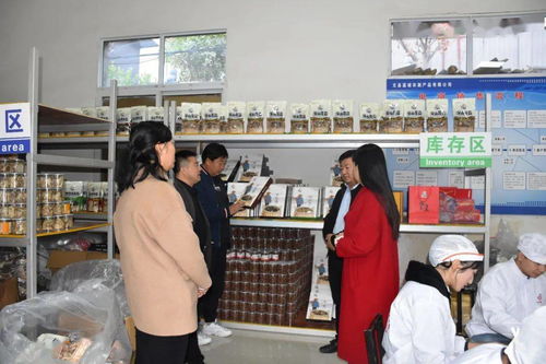 文縣電商中心負(fù)責(zé)人深入一線(xiàn)，檢查指導(dǎo)電商協(xié)會(huì)及企業(yè)運(yùn)營(yíng)，力促農(nóng)副產(chǎn)品銷(xiāo)售再上新臺(tái)階