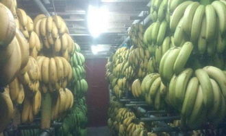 廣州食材配送 連接優(yōu)質(zhì)農(nóng)副產(chǎn)品與單位食堂的橋梁